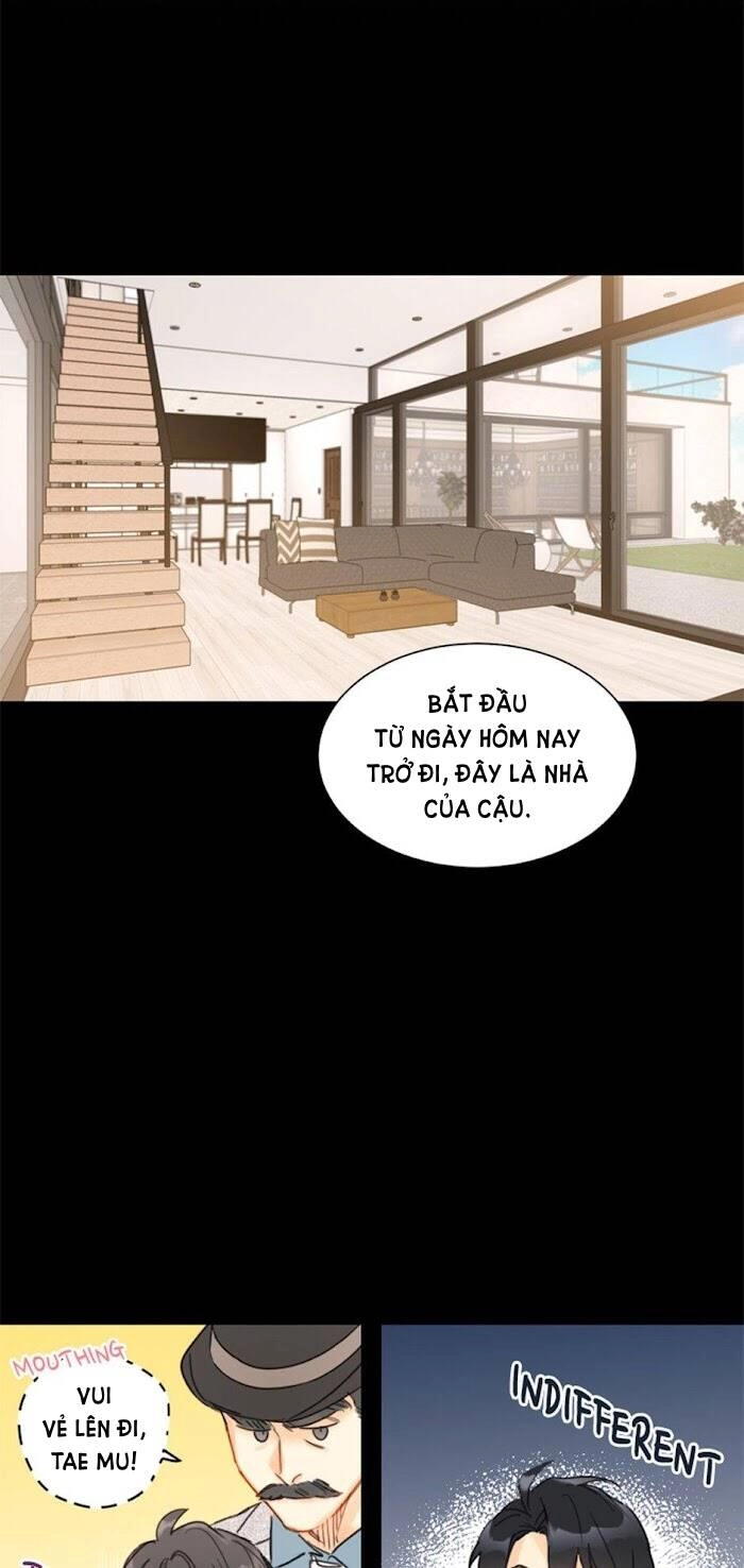 Hẹn Hò Nơi Công Sở Chapter 23 - 4