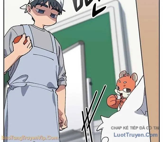 Chữa Lành Cuộc Sống Thông Qua Cắm Trại Ở Thế Giới Khác Chapter 85 - 38