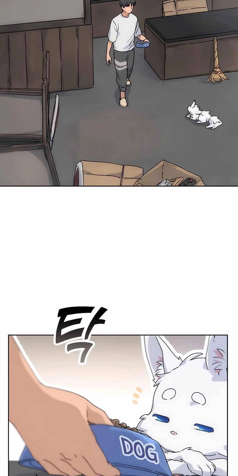 Chữa Lành Cuộc Sống Thông Qua Cắm Trại Ở Thế Giới Khác Chapter 2 - 41