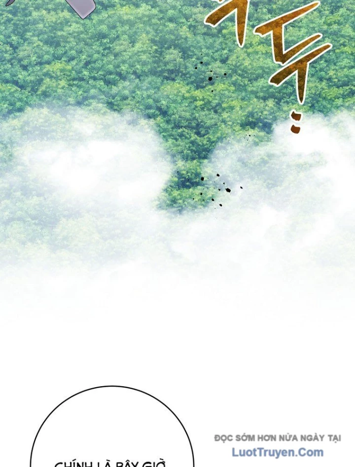 Stream Của Cung Thủ Thiên Tài Chapter 88 - 31