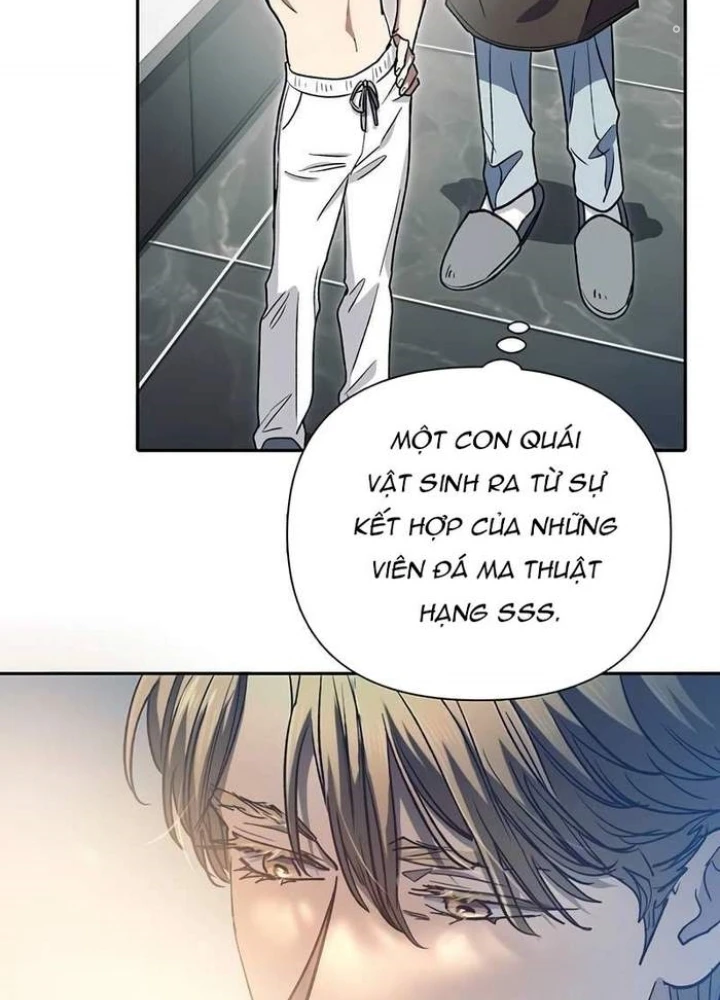 Những Ranker Cấp S Mà Tôi Nuôi Dưỡng Chapter 153 - 41