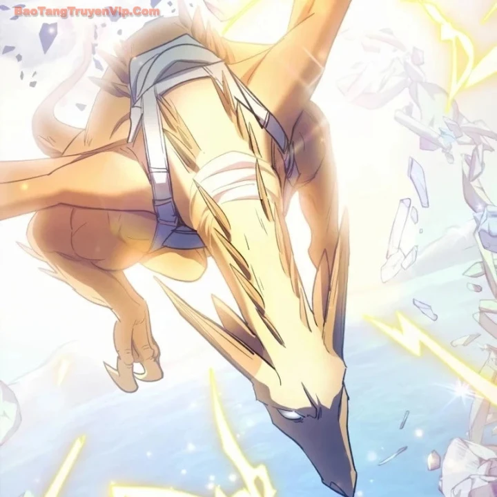 Những Ranker Cấp S Mà Tôi Nuôi Dưỡng Chapter 160 - 165