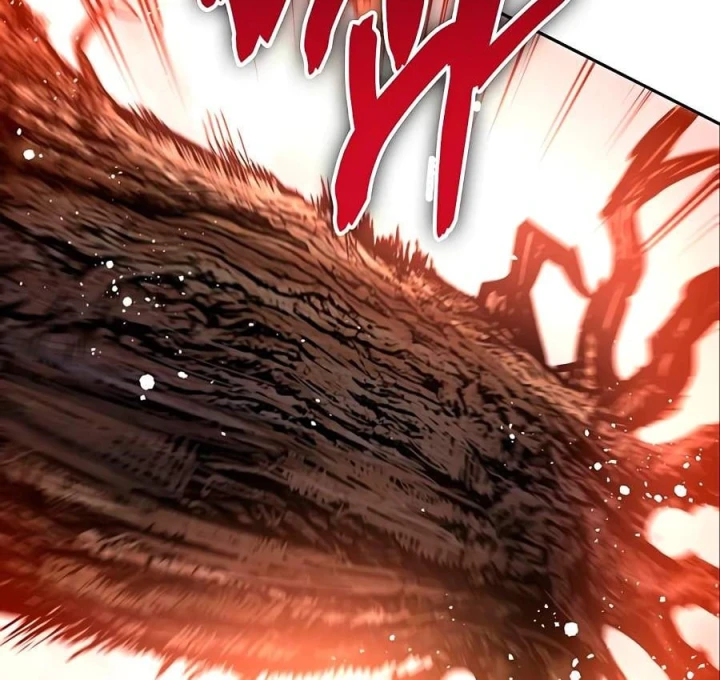 Những Ranker Cấp S Mà Tôi Nuôi Dưỡng Chapter 161 - 25