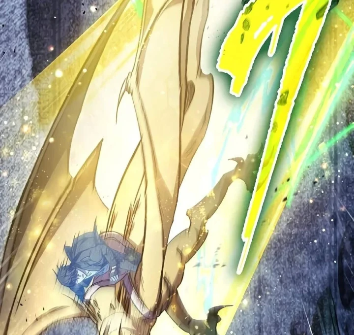 Những Ranker Cấp S Mà Tôi Nuôi Dưỡng Chapter 162 - 51