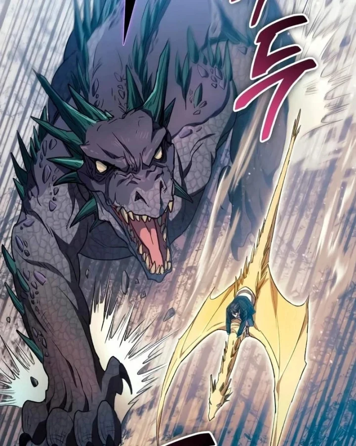 Những Ranker Cấp S Mà Tôi Nuôi Dưỡng Chapter 163 - 95