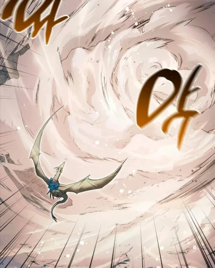 Những Ranker Cấp S Mà Tôi Nuôi Dưỡng Chapter 163 - 118