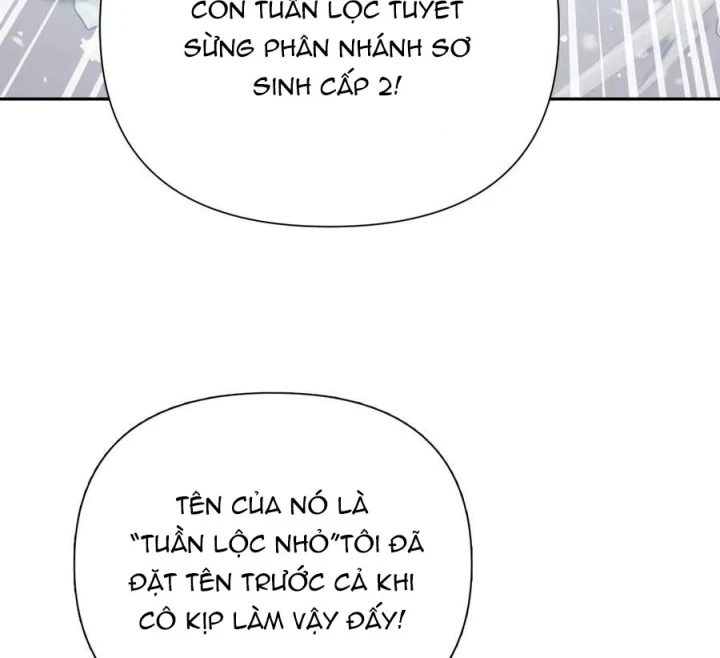 Những Ranker Cấp S Mà Tôi Nuôi Dưỡng Chapter 166 - 61