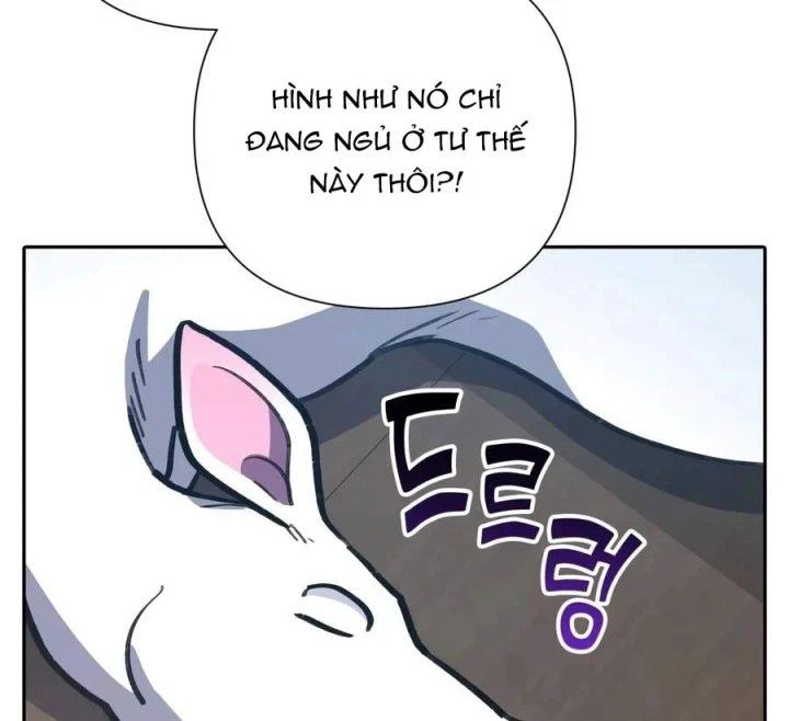 Những Ranker Cấp S Mà Tôi Nuôi Dưỡng Chapter 166 - 71