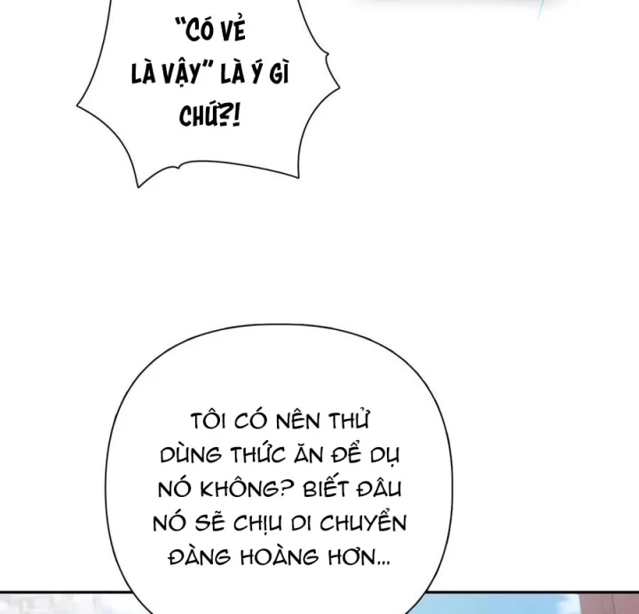 Những Ranker Cấp S Mà Tôi Nuôi Dưỡng Chapter 166 - 89
