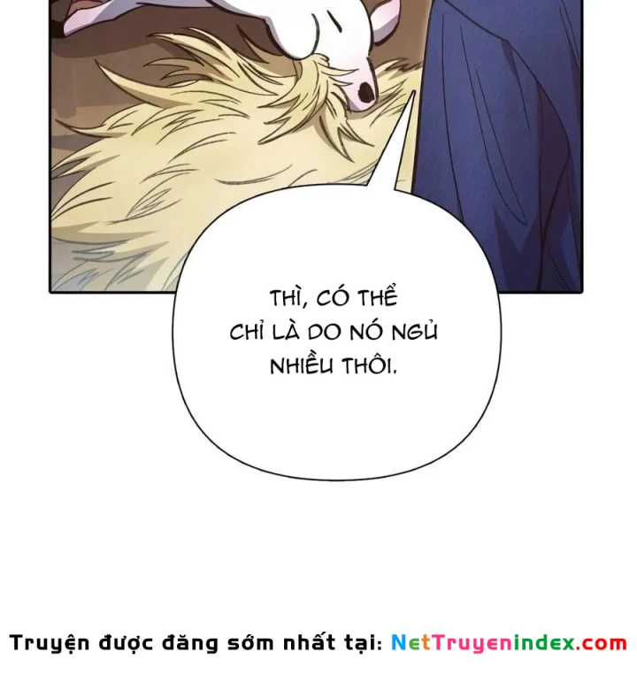 Những Ranker Cấp S Mà Tôi Nuôi Dưỡng Chapter 166 - 96