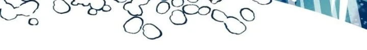 Những Ranker Cấp S Mà Tôi Nuôi Dưỡng Chapter 171 - 146