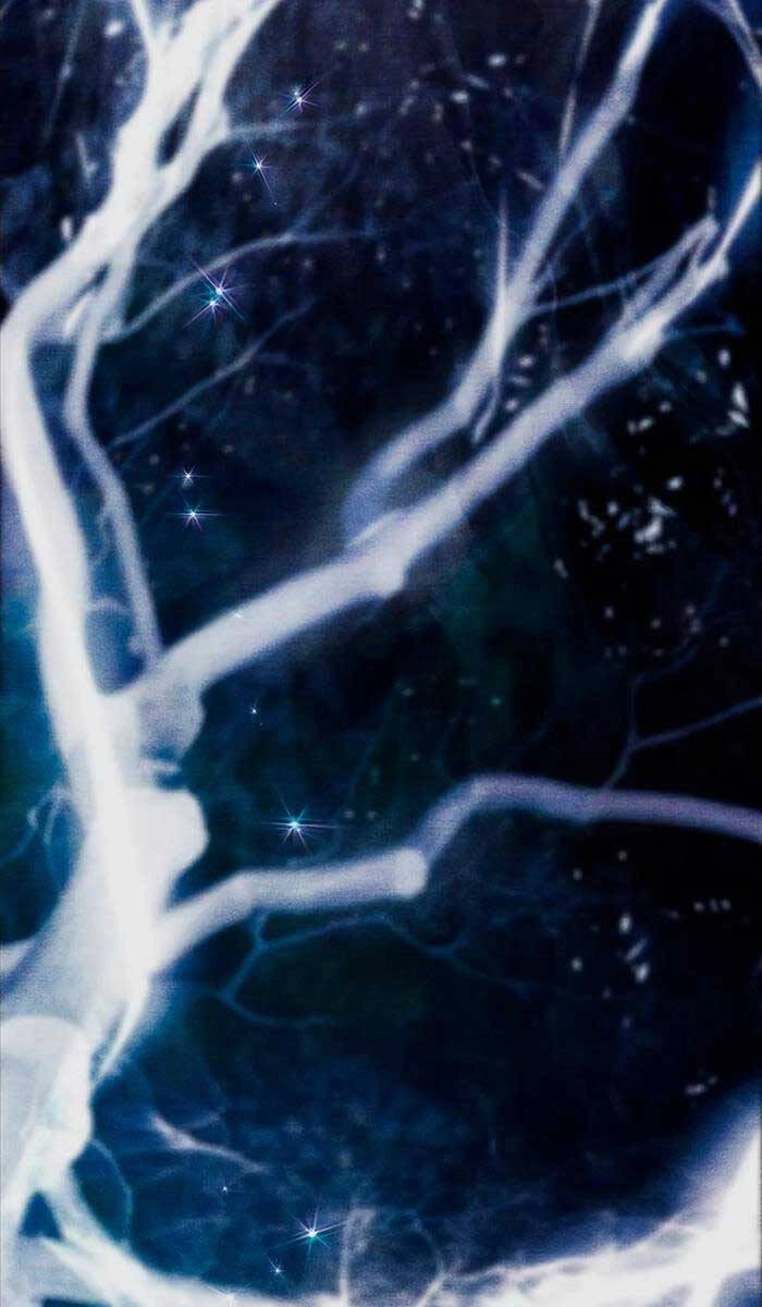 Những Ranker Cấp S Mà Tôi Nuôi Dưỡng Chapter 92 - 60