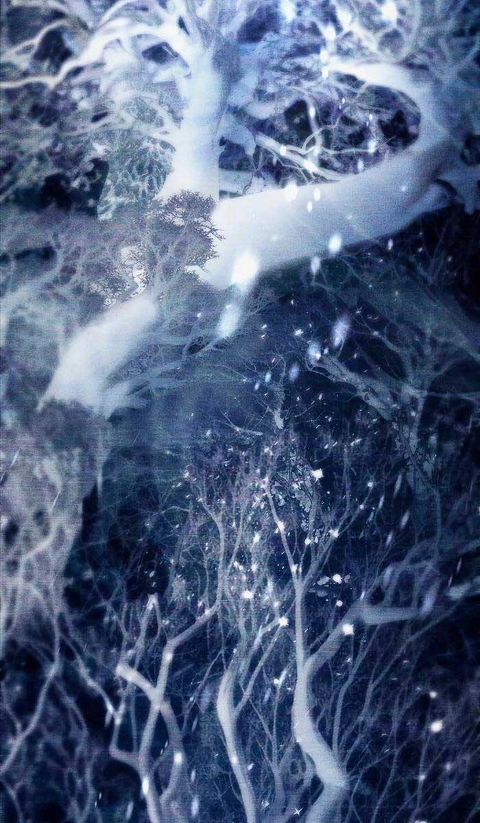 Những Ranker Cấp S Mà Tôi Nuôi Dưỡng Chapter 92 - 63