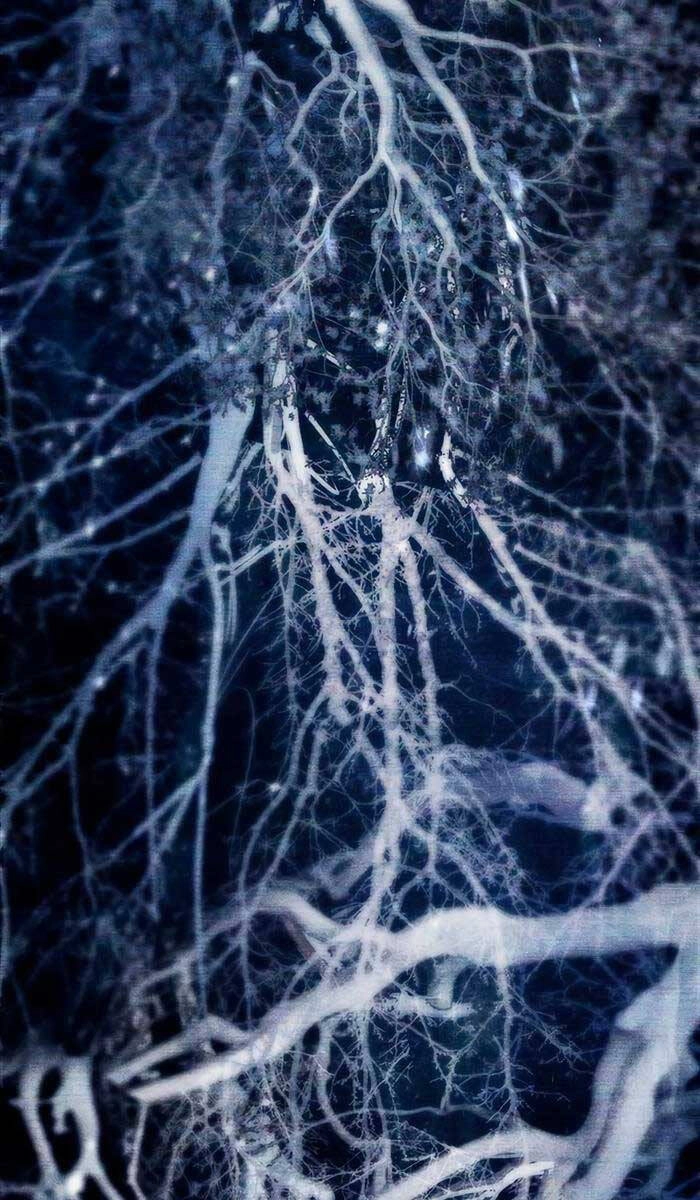 Những Ranker Cấp S Mà Tôi Nuôi Dưỡng Chapter 92 - 67