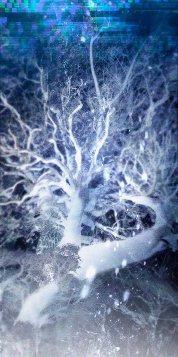 Những Ranker Cấp S Mà Tôi Nuôi Dưỡng Chapter 95 - 78