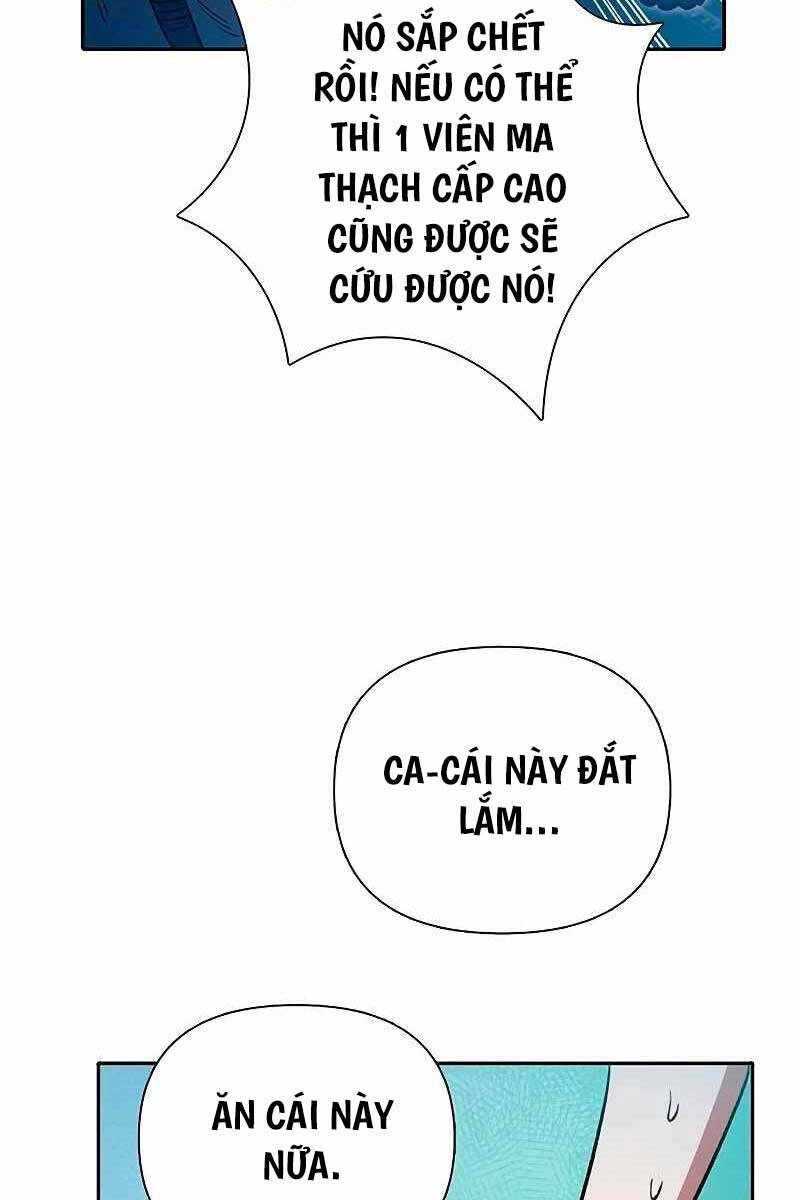 Những Ranker Cấp S Mà Tôi Nuôi Dưỡng Chapter 113 - 41