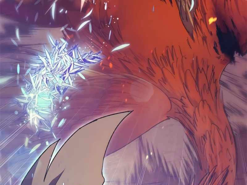 Những Ranker Cấp S Mà Tôi Nuôi Dưỡng Chapter 25 - 31