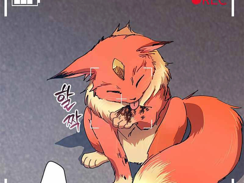 Những Ranker Cấp S Mà Tôi Nuôi Dưỡng Chapter 26 - 10