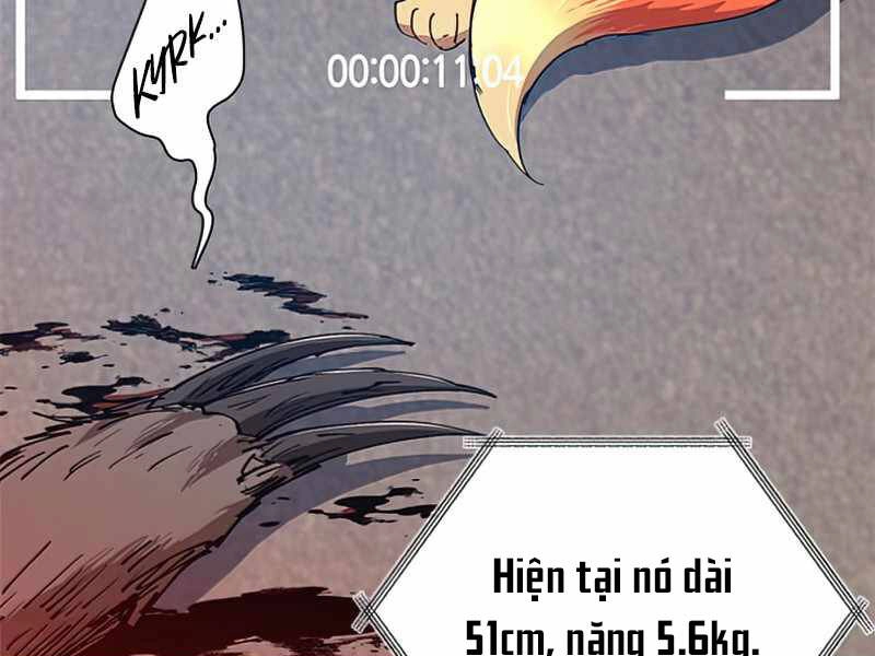 Những Ranker Cấp S Mà Tôi Nuôi Dưỡng Chapter 26 - 11