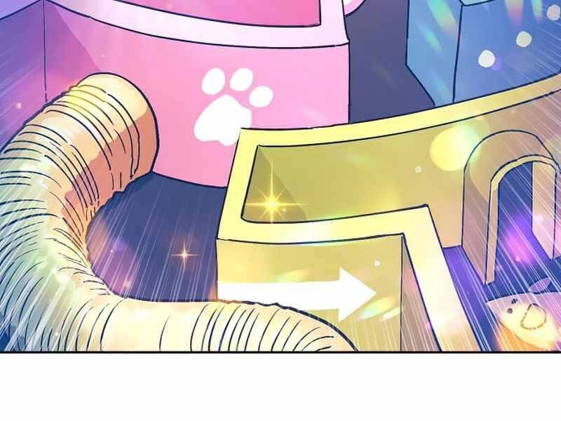 Những Ranker Cấp S Mà Tôi Nuôi Dưỡng Chapter 32 - 5