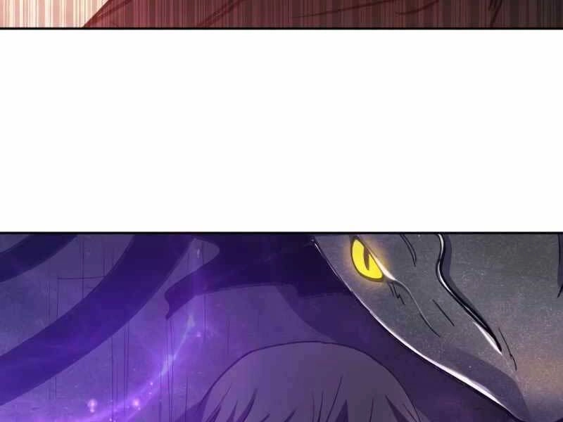 Những Ranker Cấp S Mà Tôi Nuôi Dưỡng Chapter 37 - 204