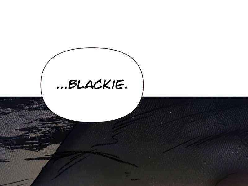 Những Ranker Cấp S Mà Tôi Nuôi Dưỡng Chapter 39 - 162