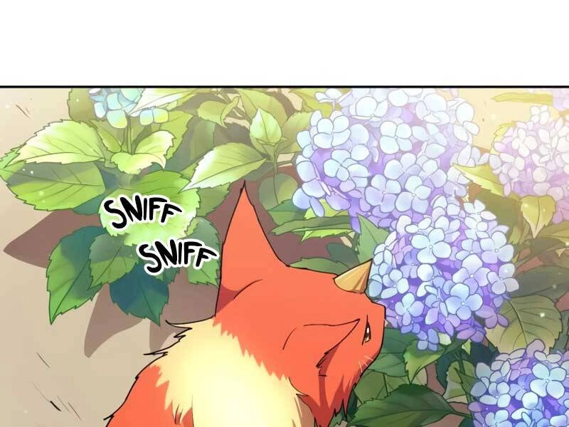 Những Ranker Cấp S Mà Tôi Nuôi Dưỡng Chapter 46 - 31