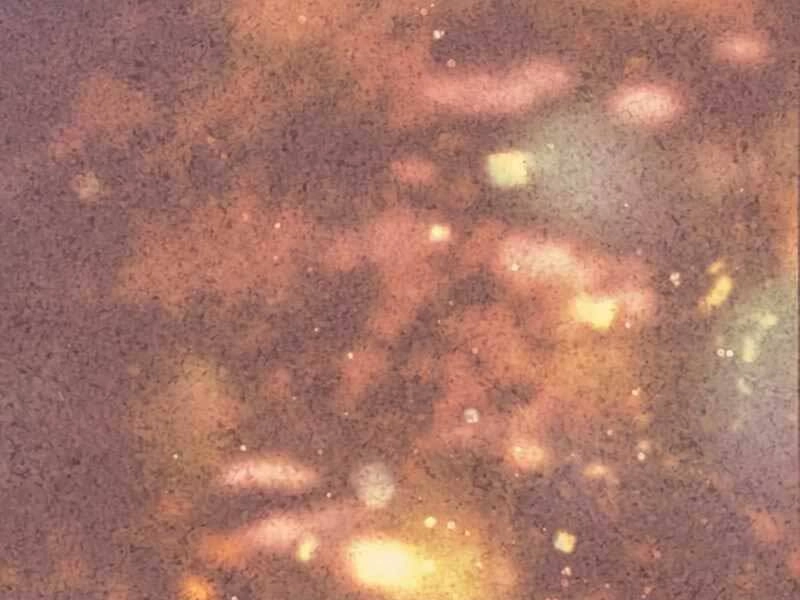 Những Ranker Cấp S Mà Tôi Nuôi Dưỡng Chapter 47 - 180