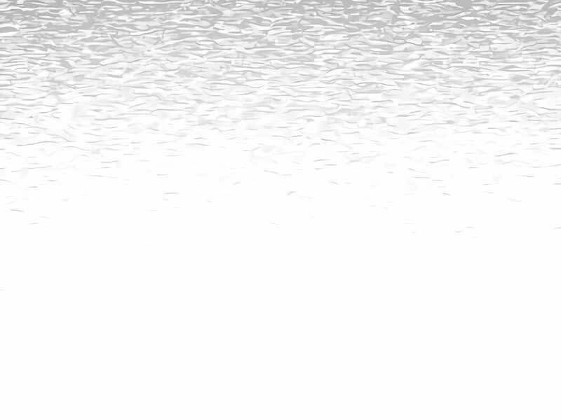 Những Ranker Cấp S Mà Tôi Nuôi Dưỡng Chapter 50 - 81