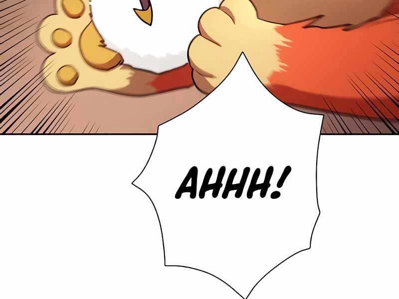 Những Ranker Cấp S Mà Tôi Nuôi Dưỡng Chapter 50 - 141