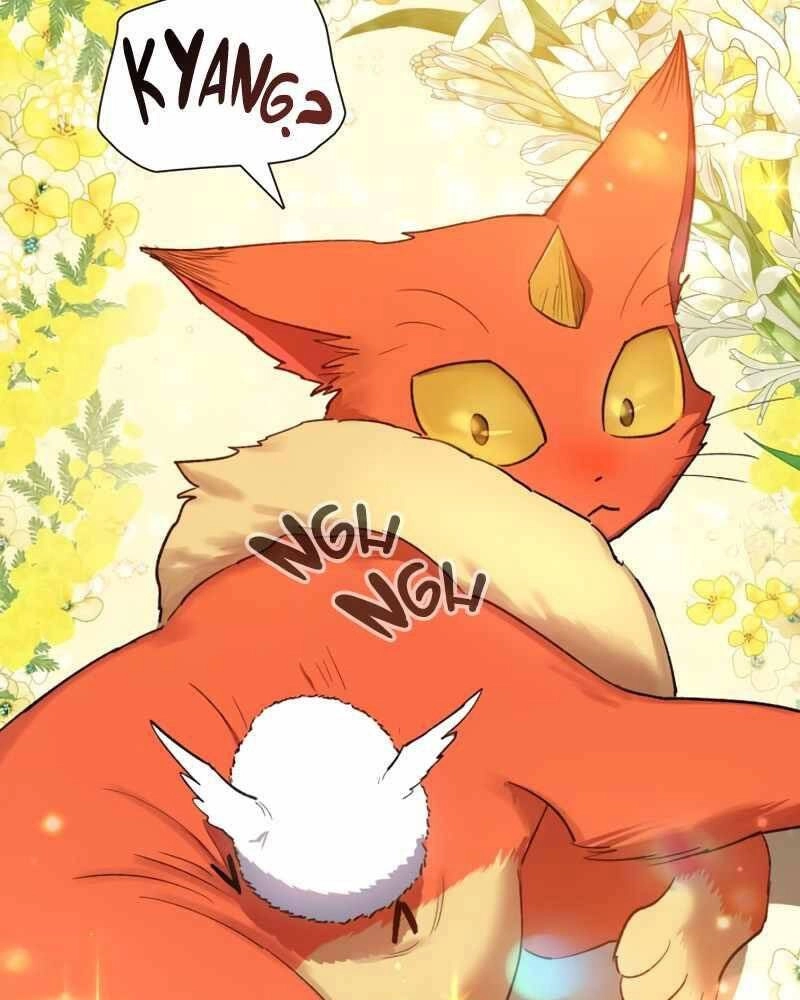 Những Ranker Cấp S Mà Tôi Nuôi Dưỡng Chapter 51 - 79