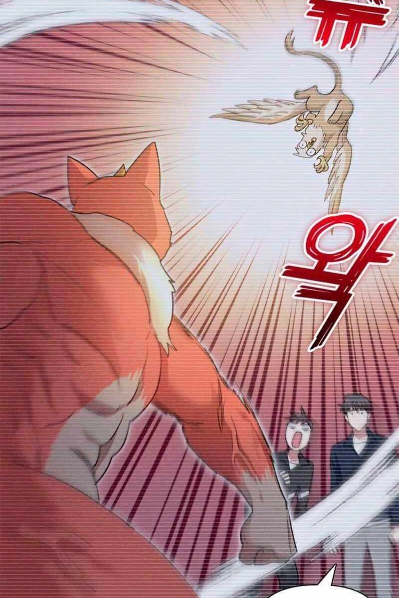 Những Ranker Cấp S Mà Tôi Nuôi Dưỡng Chapter 57 - 14