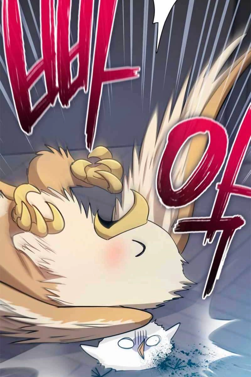 Những Ranker Cấp S Mà Tôi Nuôi Dưỡng Chapter 62 - 26