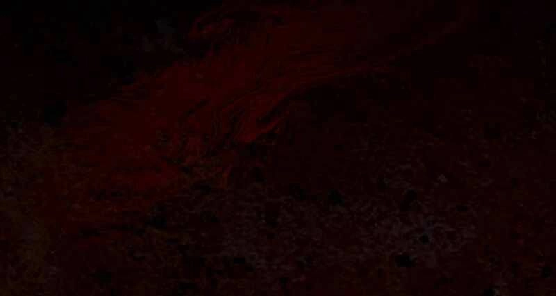 Thăng Hạng Từ Đỉnh Cấp Chapter 28 - 172