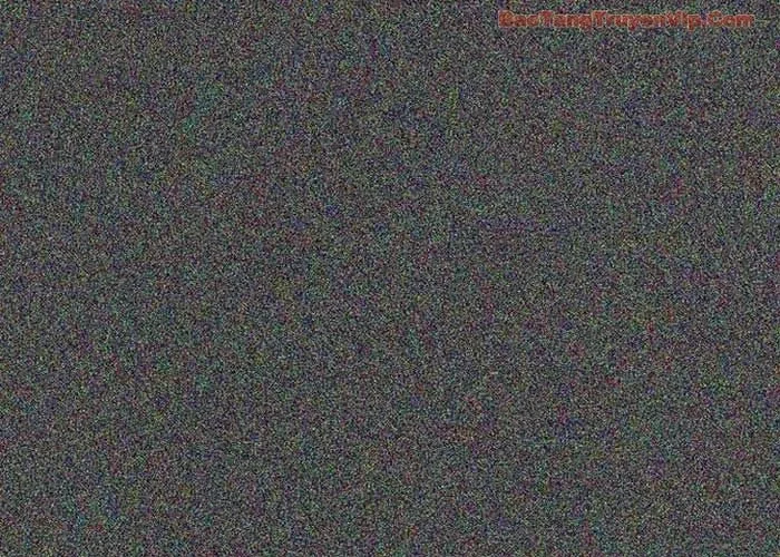 Huấn Luyện Viên Murim Thiên Tài Chapter 85 - 16