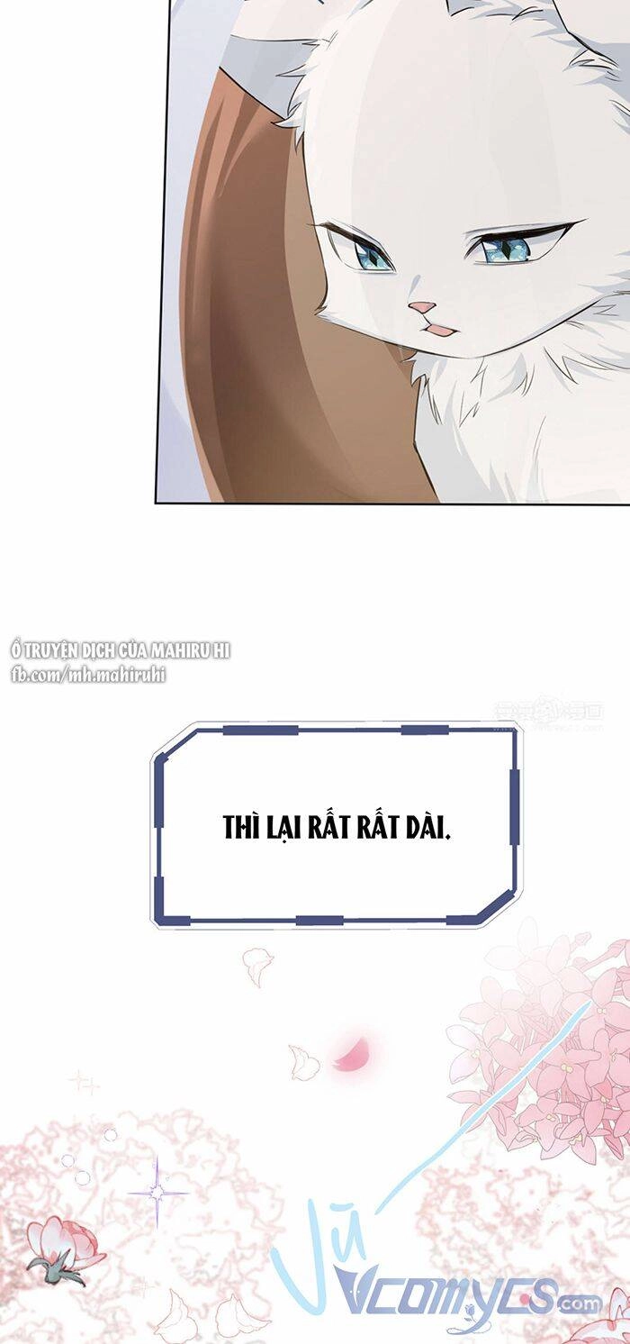 Đại Chiến Công Chúa Chapter 147 - 11