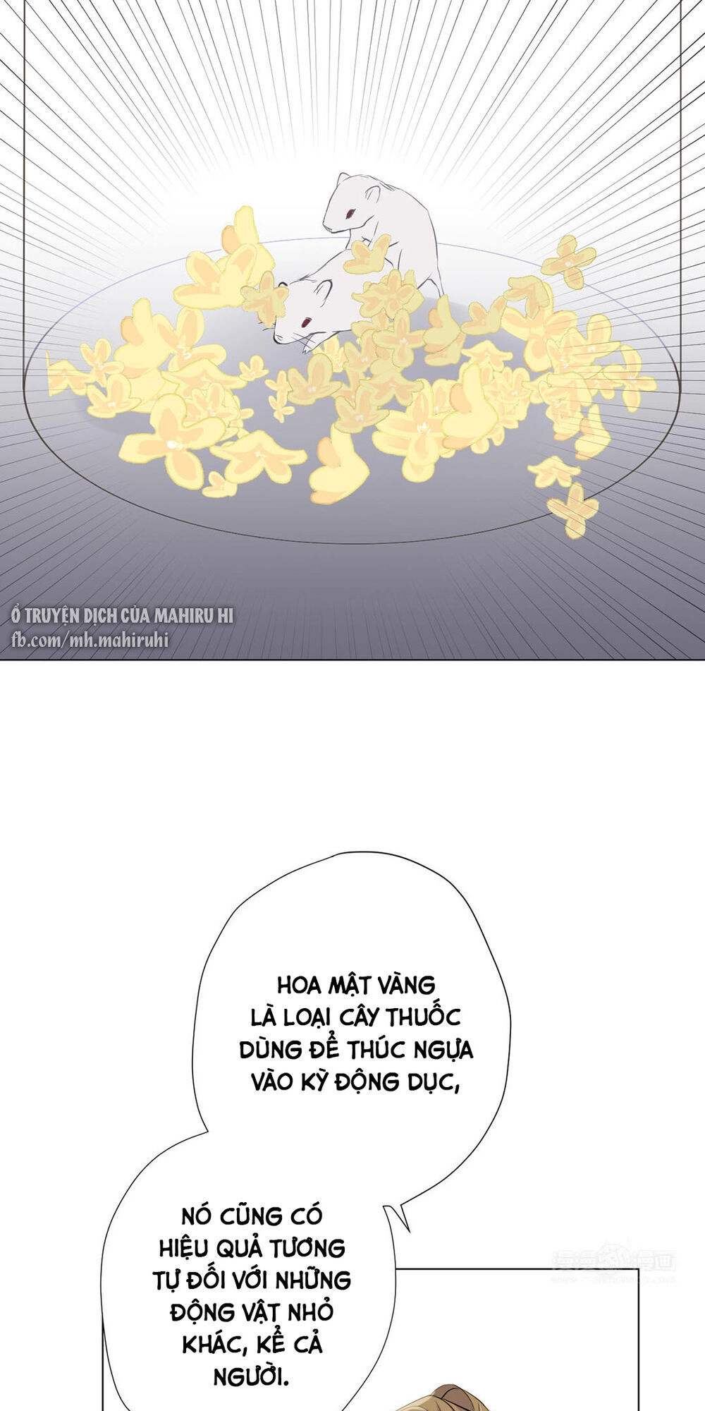 Đại Chiến Công Chúa Chapter 40 - 18