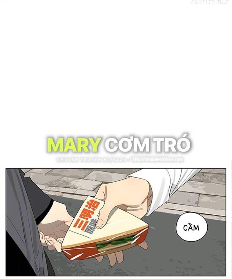 19 Days Chapter 504 - 8