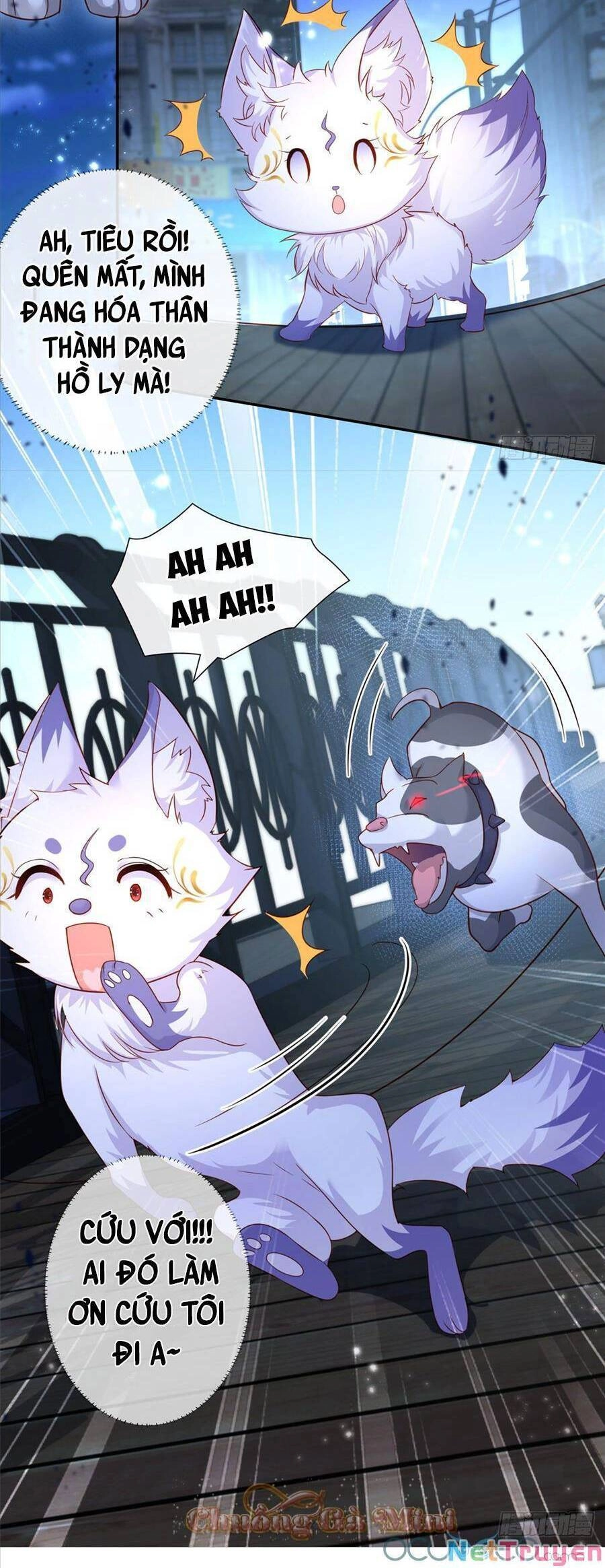 Boss Sát Thủ Dưỡng Hồ Yêu Chapter 1 - 22