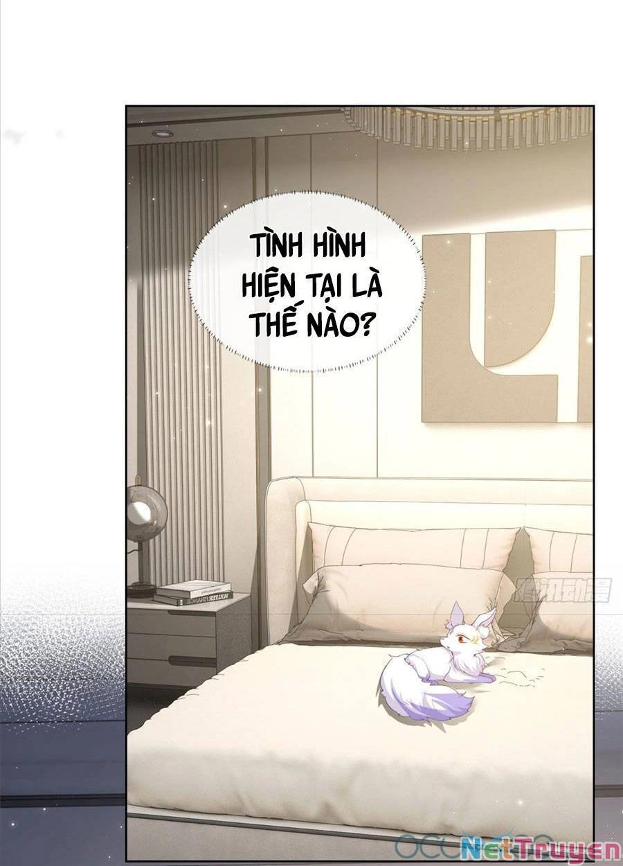 Boss Sát Thủ Dưỡng Hồ Yêu Chapter 2 - 3