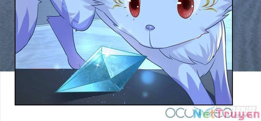 Boss Sát Thủ Dưỡng Hồ Yêu Chapter 2 - 9