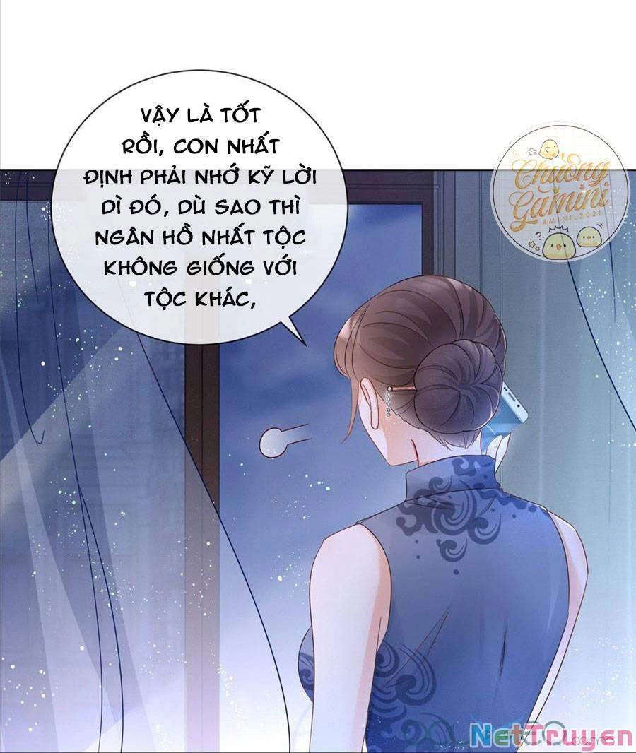 Boss Sát Thủ Dưỡng Hồ Yêu Chapter 3 - 10