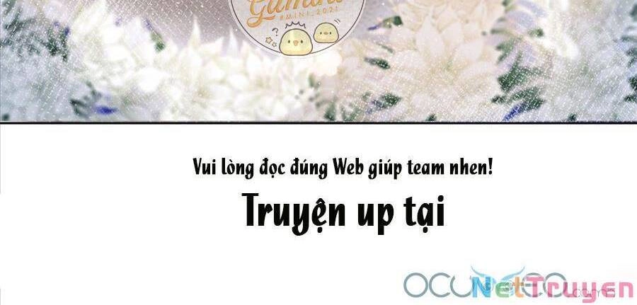 Boss Sát Thủ Dưỡng Hồ Yêu Chapter 3 - 13