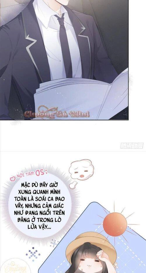 Boss Sát Thủ Dưỡng Hồ Yêu Chapter 6 - 10