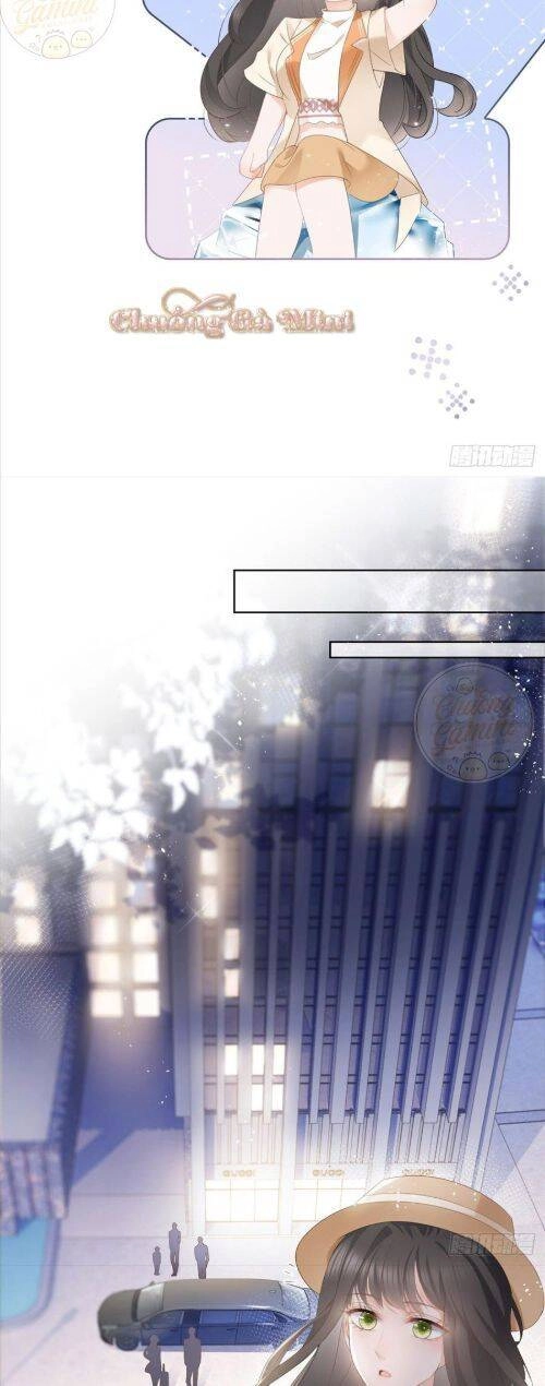 Boss Sát Thủ Dưỡng Hồ Yêu Chapter 6 - 11