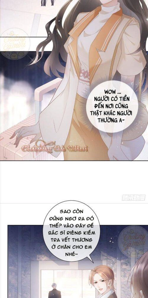 Boss Sát Thủ Dưỡng Hồ Yêu Chapter 6 - 12