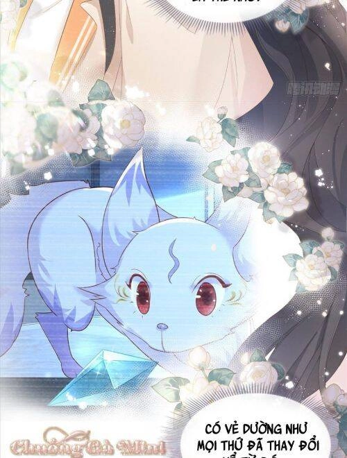 Boss Sát Thủ Dưỡng Hồ Yêu Chapter 6 - 48