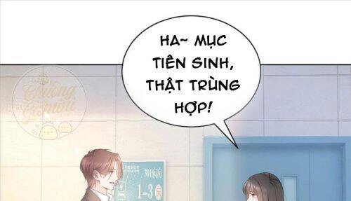 Boss Sát Thủ Dưỡng Hồ Yêu Chapter 7 - 12