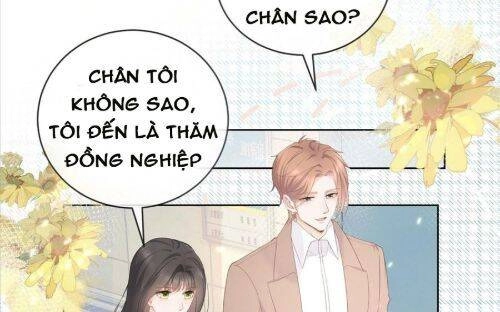 Boss Sát Thủ Dưỡng Hồ Yêu Chapter 7 - 14