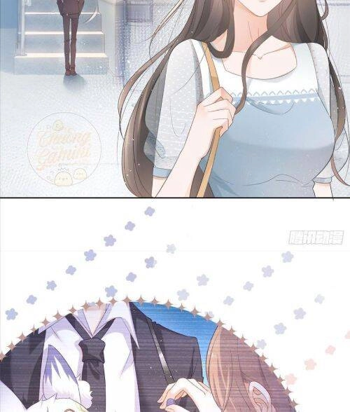 Boss Sát Thủ Dưỡng Hồ Yêu Chapter 7 - 40